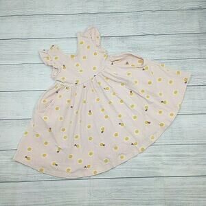 4 Hanna Andersson Ladybug/Flower Skater Dress